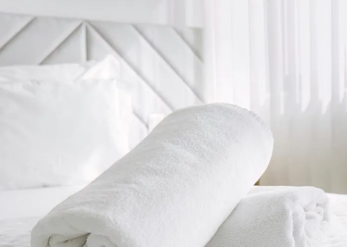 Alma Invicta Alegria * ポルト