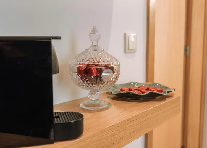 Alma Invicta Alegria 公寓 波尔图