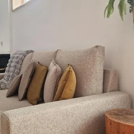 Alma Invicta Alegria Порту