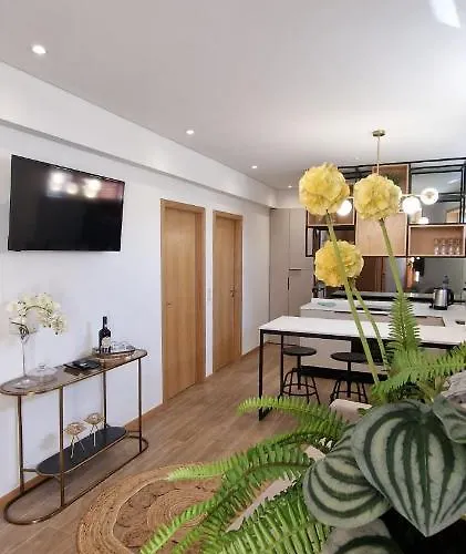 Apartamento Alma Invicta Alegria Porto